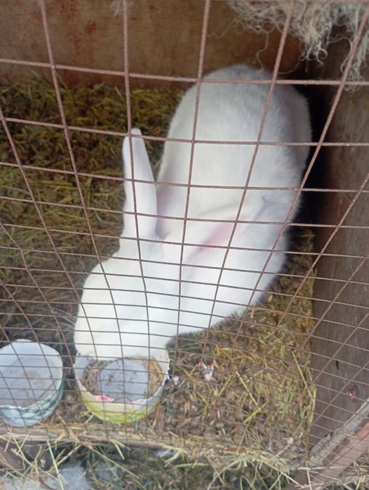 Продам или объменяю