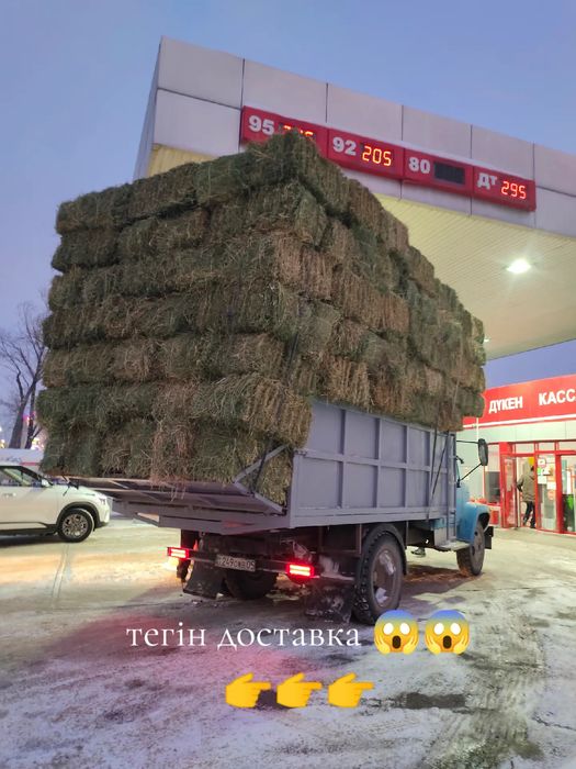 Клевер Люцерна Жонышка