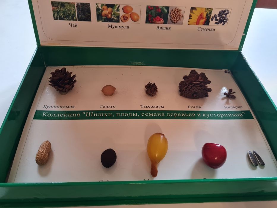 Шикарные наборы для коллекции