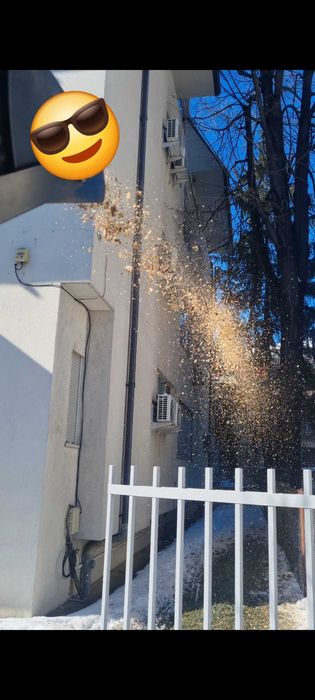 Toaletare Arbori / Taieri Copaci - Firma Certificat ISA– Bistrita