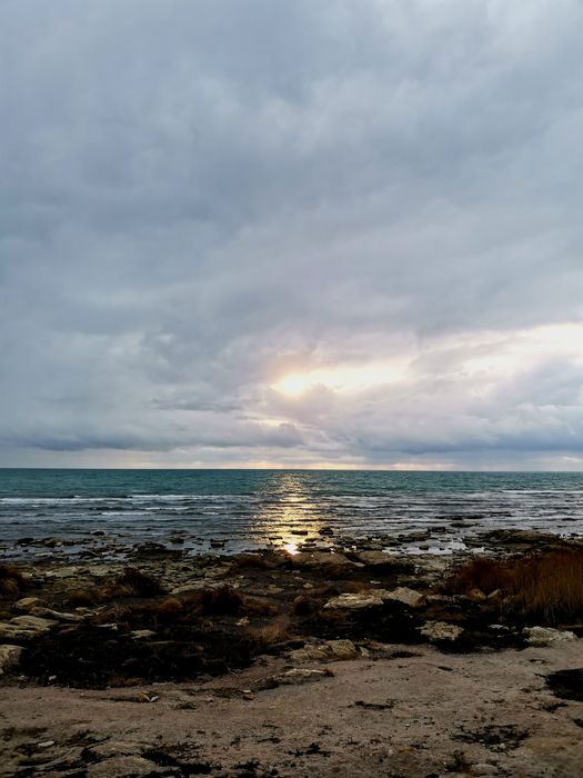 Huawei Honor 20 Pro 256 Gb акб 100%