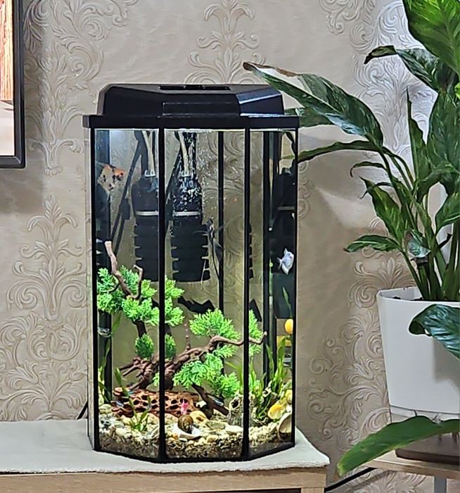 Продам аквариум колба