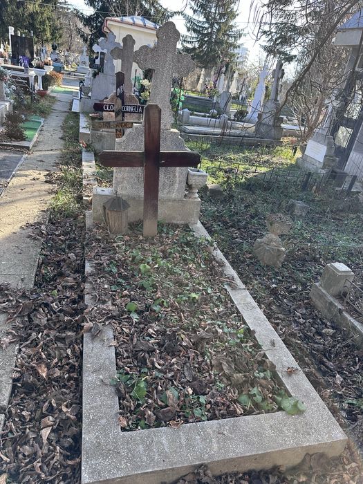 Loc de veci Cimitir Damaroaia