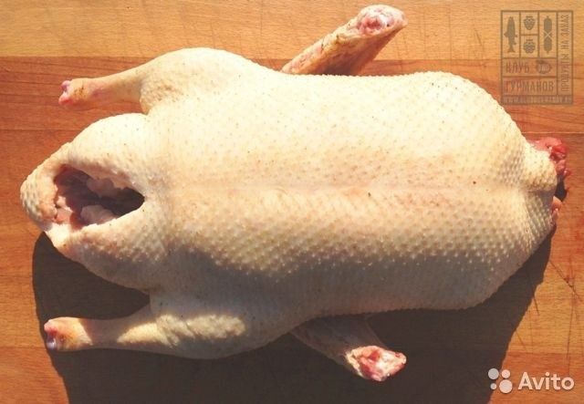 Мясо утки бройлера фото Мясо утки бройлера фото