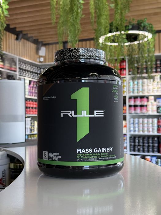 1 rule mass gainer 2.60 kg гейнер