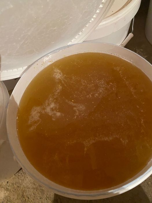Продам мёд донниковый и разнотравье