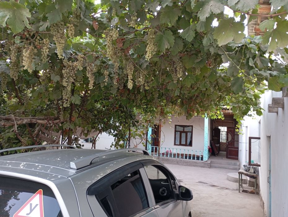 40 сотикли 2 уй сотилади газ свет ичимлики су  бор екин жой 20 сотик