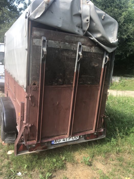 Remorca  auto  2000 kg