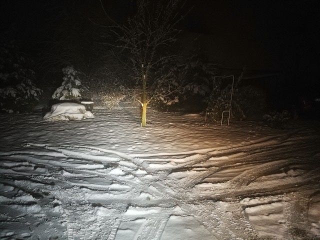 Led H1 H4 H7 H8 H11 Canbus