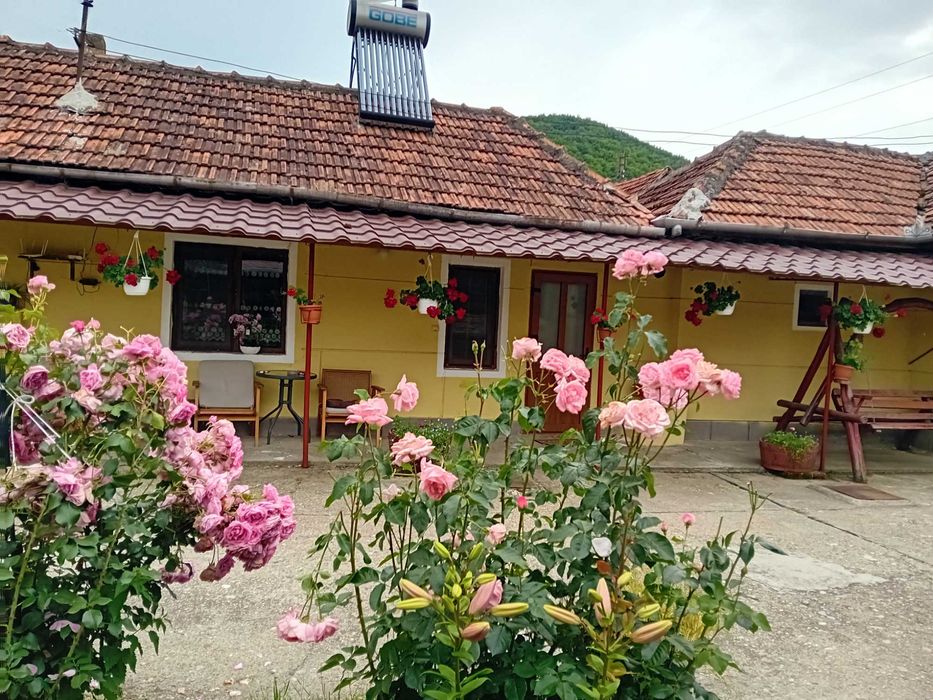 Casa de vanzare în Vețel