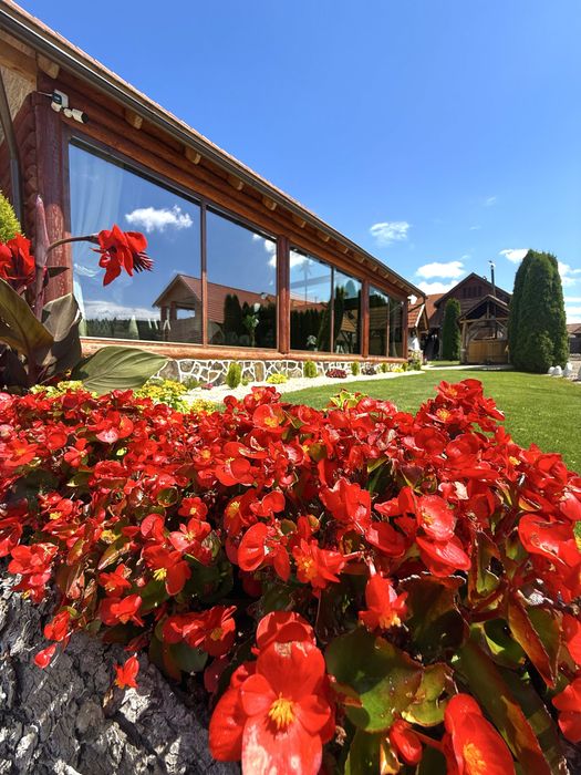 Cabana de inchiriat cu ciubăr si saună,sala de evenimente!60 de km de la Brasov !