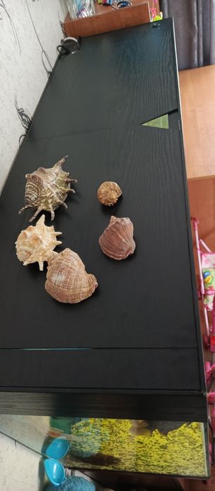 Продам большой аквариум.