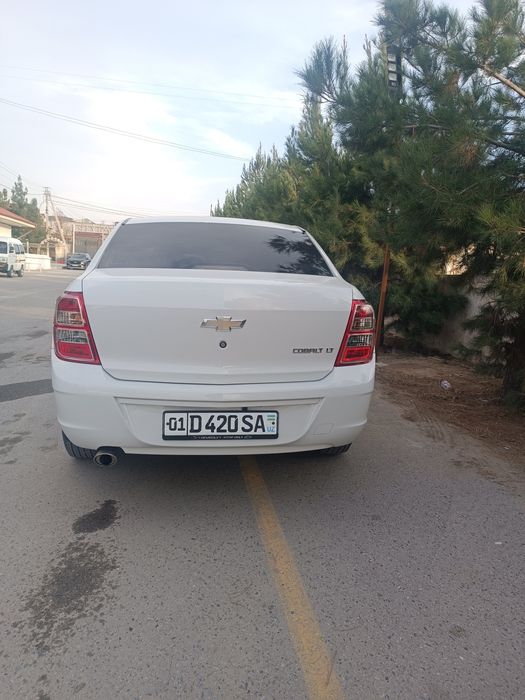 Cobalt mexanika 2-pazitsiya Tozza