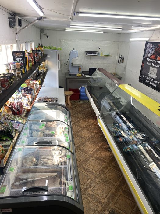 Действующий бизнесс