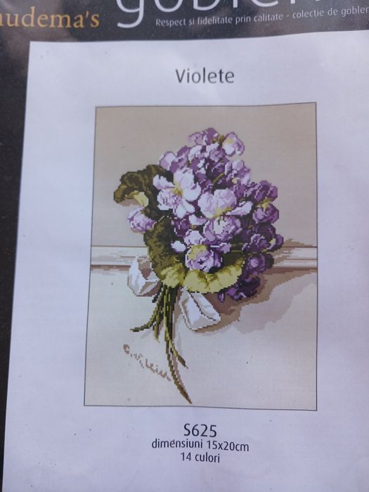 Diagrama pentru goblen Timișoara