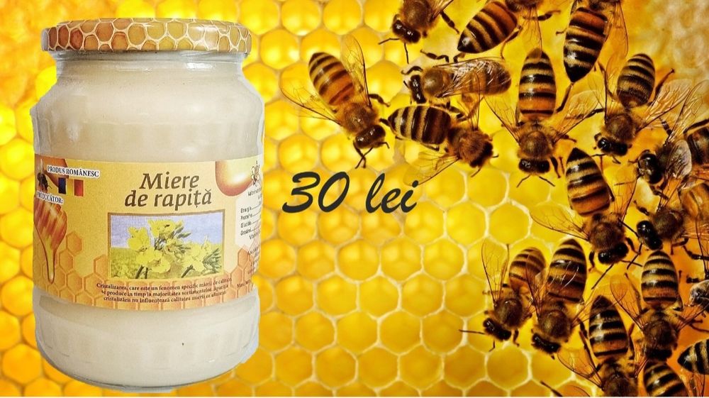 Miere naturala salcam, rapita, floarea soarelui