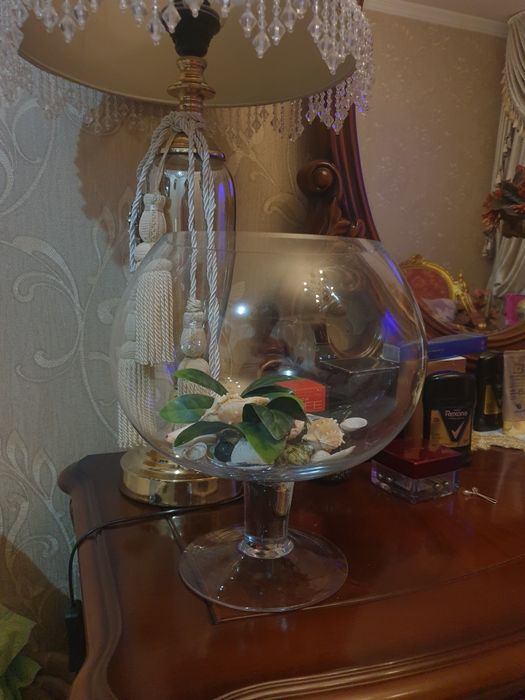 Akvaryum dumalo oyog'i bor