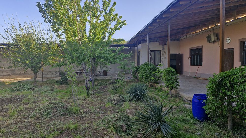 Участка сотилади 6 сотих