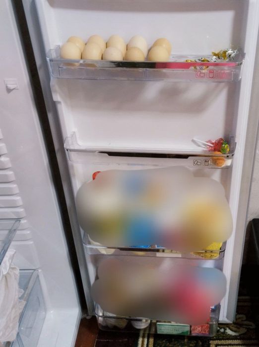 Holadilnik muzlatgich