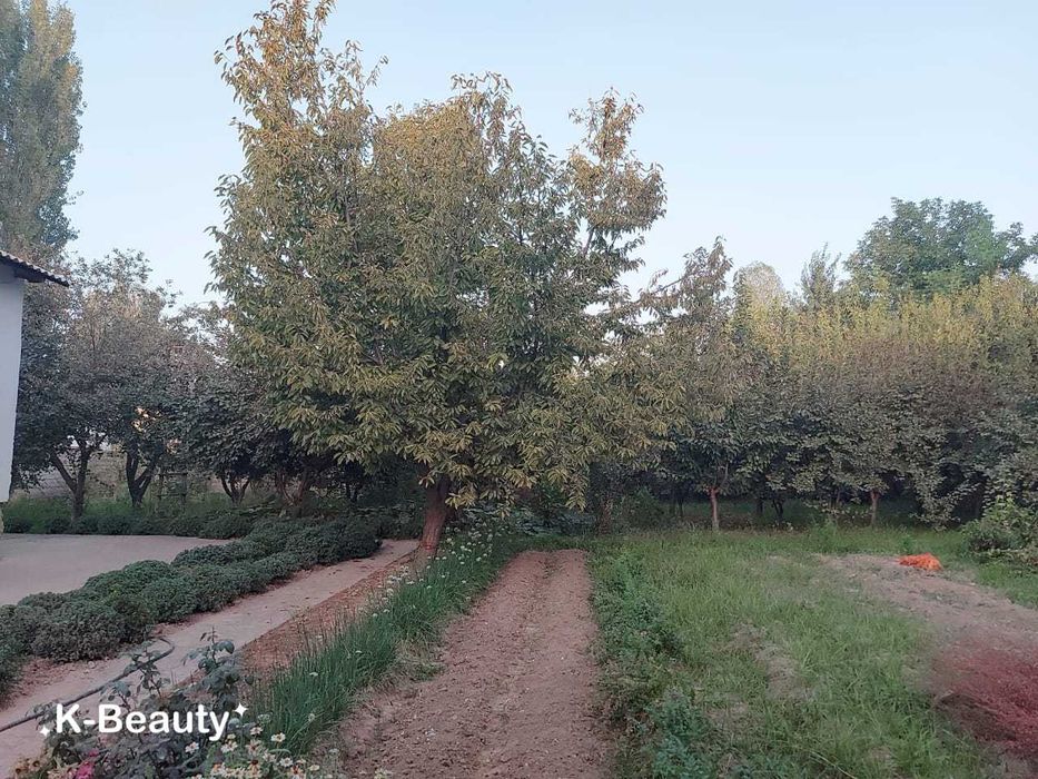 Хороший в городе  5 комнатный дом с участком 26 соток