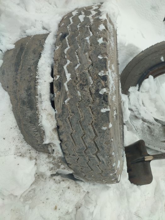 КамАЗ  шины камерные