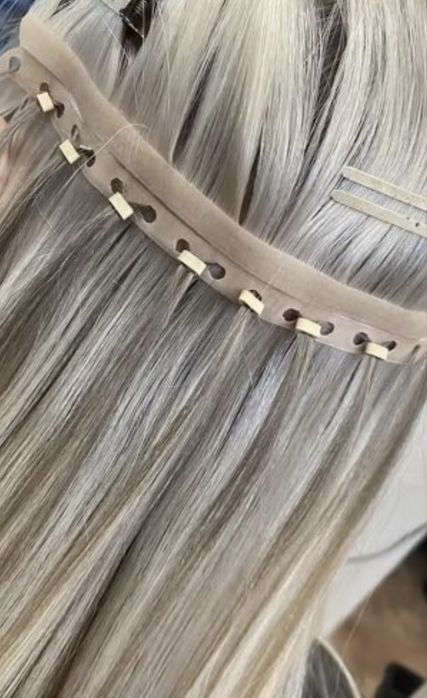 Montez extensii butterfly