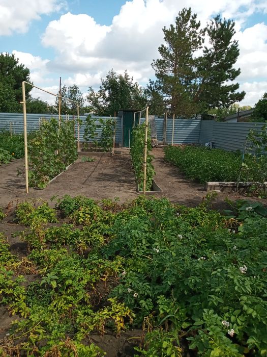 Продам дачу в чапаево