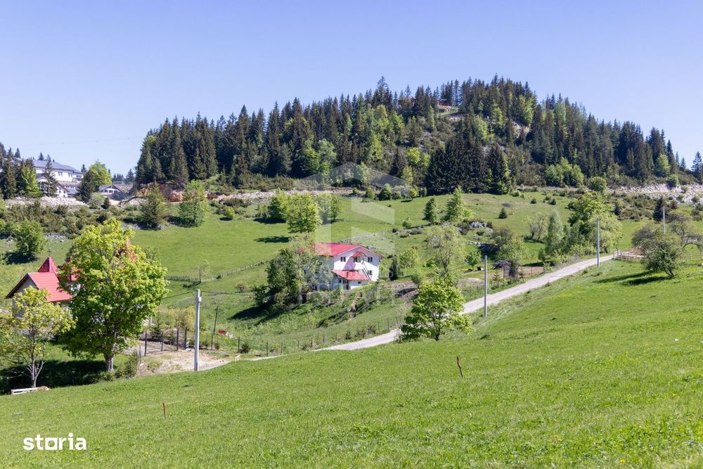 Fundata-Teren de vanzare 15,771 mp intravilan+extravilan+padure