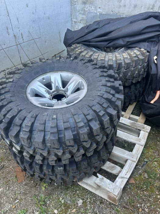 Maxsiss trepador 38.5 dot24