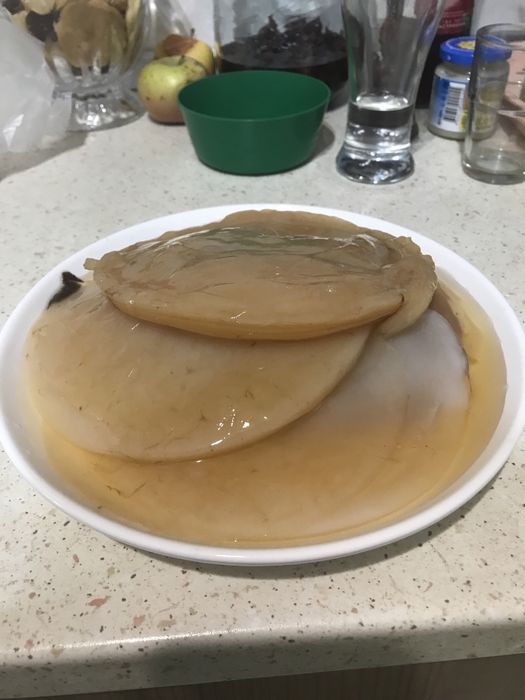 Продам чайный гриб (комбуча)