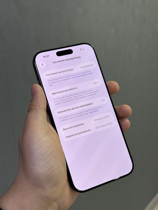 iPhone 16 Pro Max 256 GB АКБ 100%