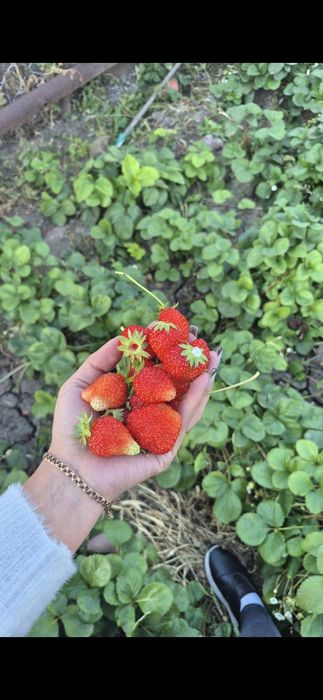 Продам дачу зимний вариант дом