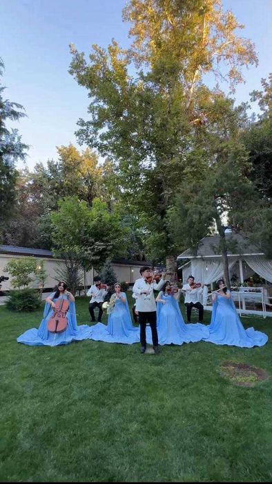 Живая инструментальная группа