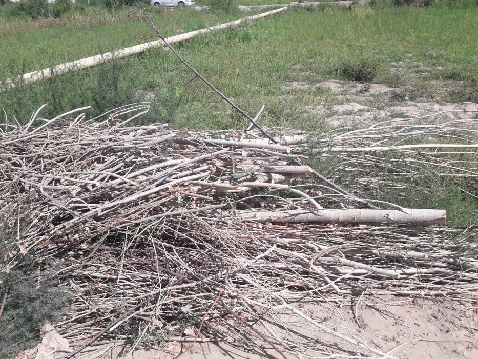 Тандир отын бар бесплатный вода канал