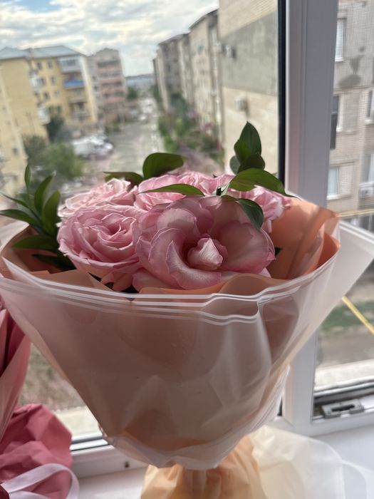 9 шт роза свежие