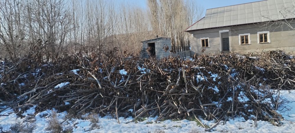 утин вассалик йогоч