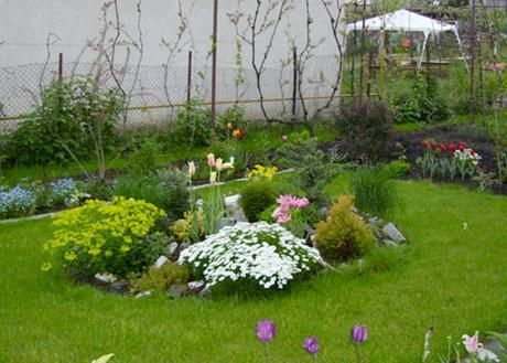 amenajari gradina spatii verzi mentenanță gazon sisteme de drenaj apa