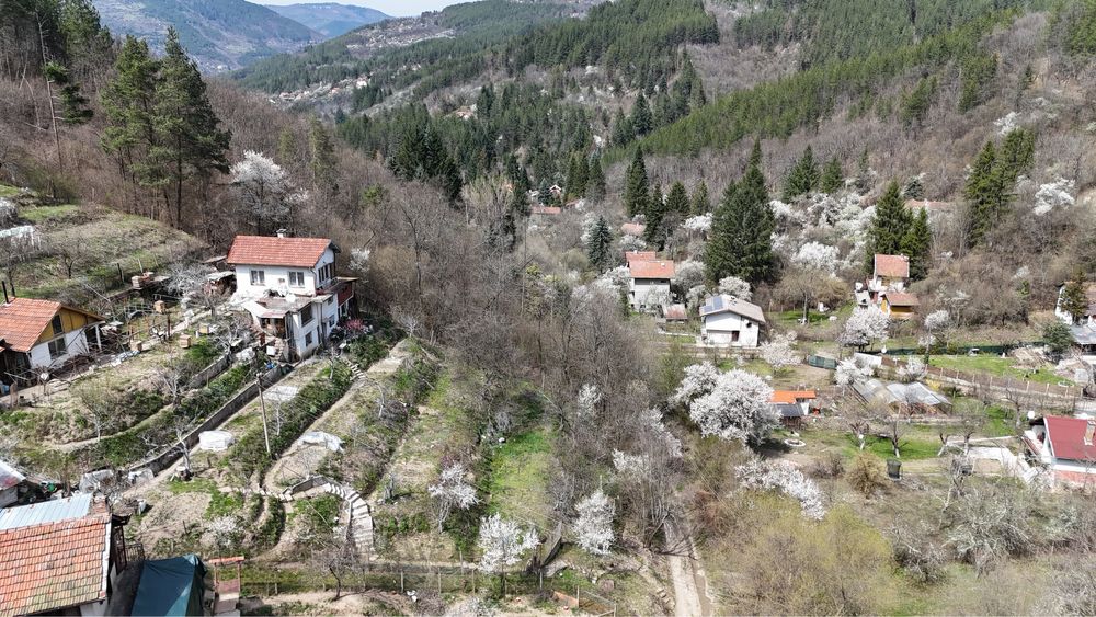 Цяла Самостоятелна къща в с. Луково