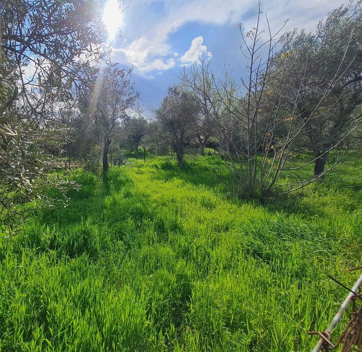 Продава парцел 780 м2 зад супермаркет Склавенитис в Аспровалта, Гърция