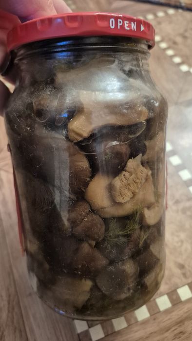 Грибы домашний засол