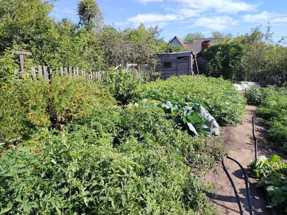 Продам дачу сад "Здоровье"