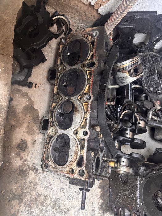 Матор галовка матор