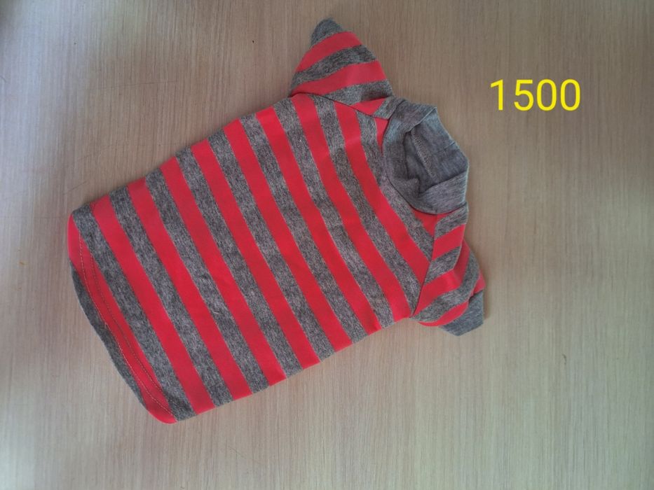 Одежда для собак