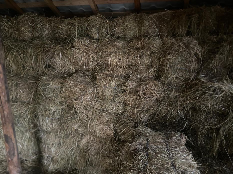 Baloti de fân de vânzare