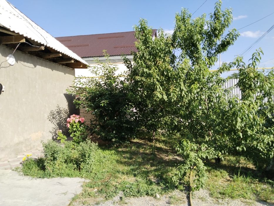 Времянка 3 комн., уч. 6 сот.
