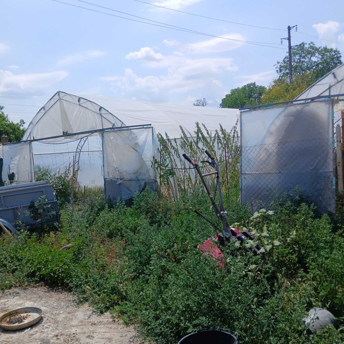 Продава се Парцел в с. Градище, Област Шумен - 1300 кв.м за 16 €/кв.м - Снимка #6