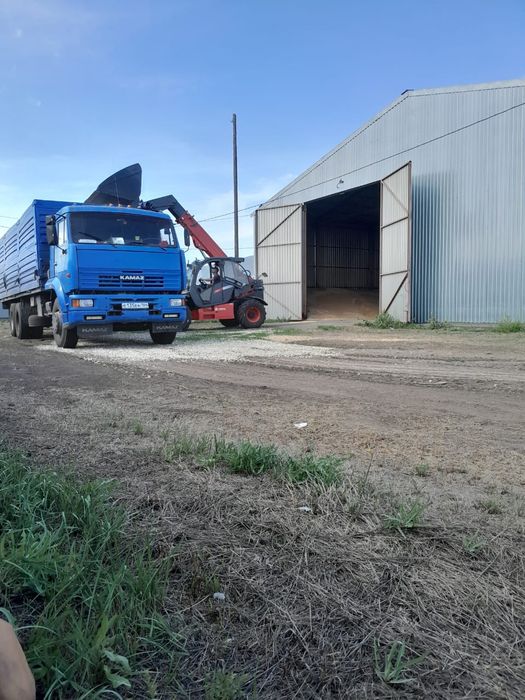 Пшеница Ячмень есть г.Уральск