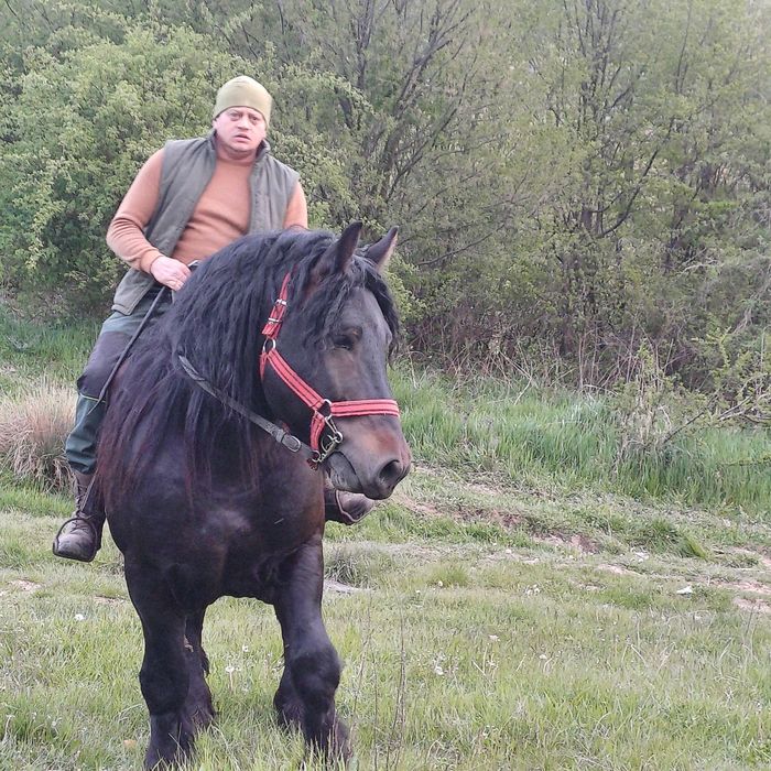 Mînji de vinzare