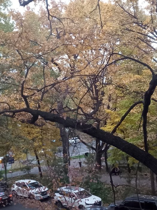 Аренда квартиры.