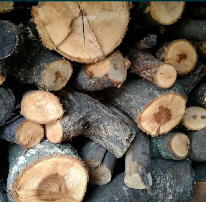 Дрова из плодовых деревьев
